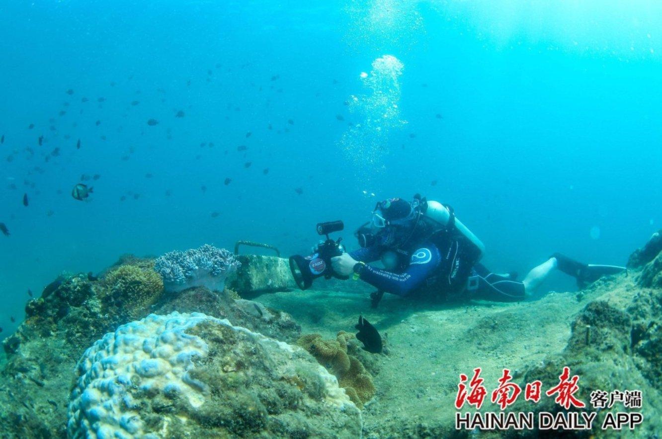 怎样与孩子沟通不玩手机？