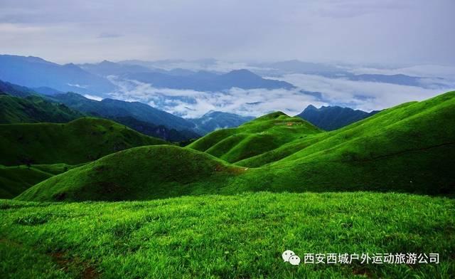 射击红色鸟